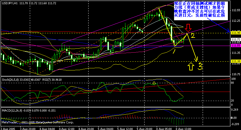 jpy  h050808.gif